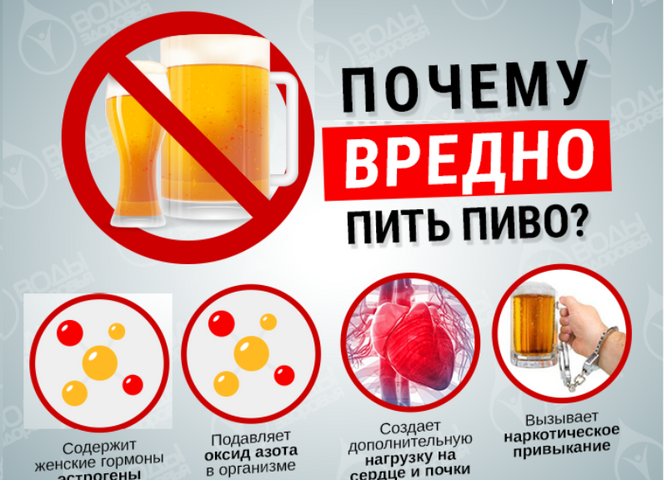 Пивной алкоголизм - «Школа здоровья»