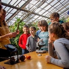 Экскурсионная программа для школьников "Ура! Каникулы" , мастер класс "Растения и инженеры" в Ботаническом саду