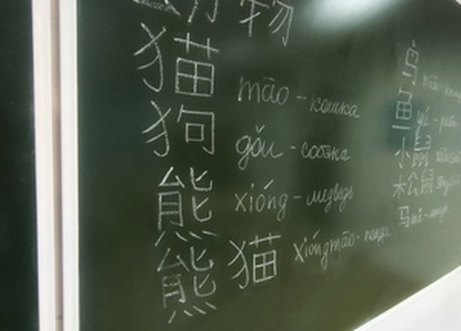 Базовый курс разговорного китайского языка