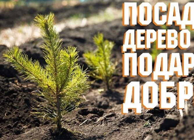 #Посади дерево – подари Планете жизнь